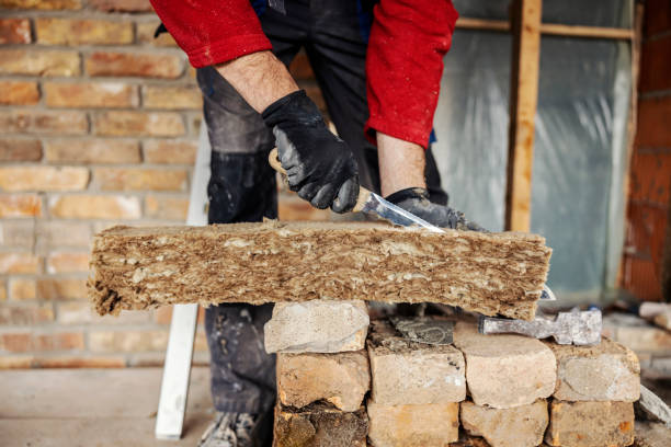 Best Insulation Contractors for Homes  in Rio Grande City, TX